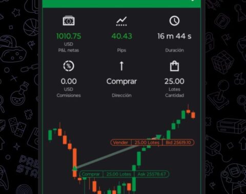 Whatsapp Image 2025-12-18 At 12.49.31